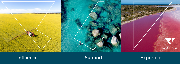 WA Local Government Association Logo